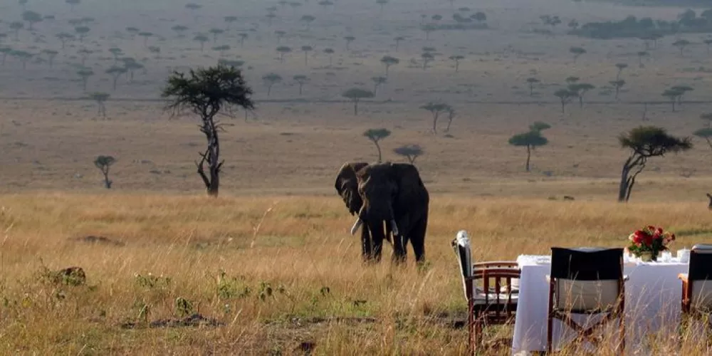 Tanzania Activities