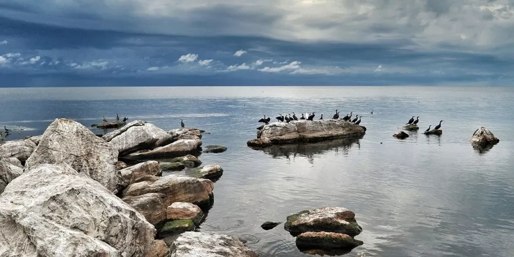 Tanzania Lake Activities