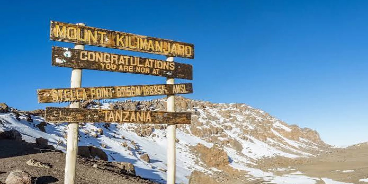 Mount Kilimanjaro National Park