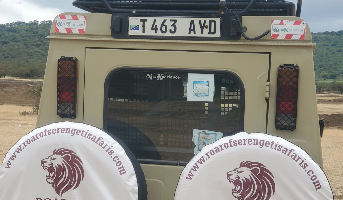 Why Choose Roar of Serengeti Safaris?
