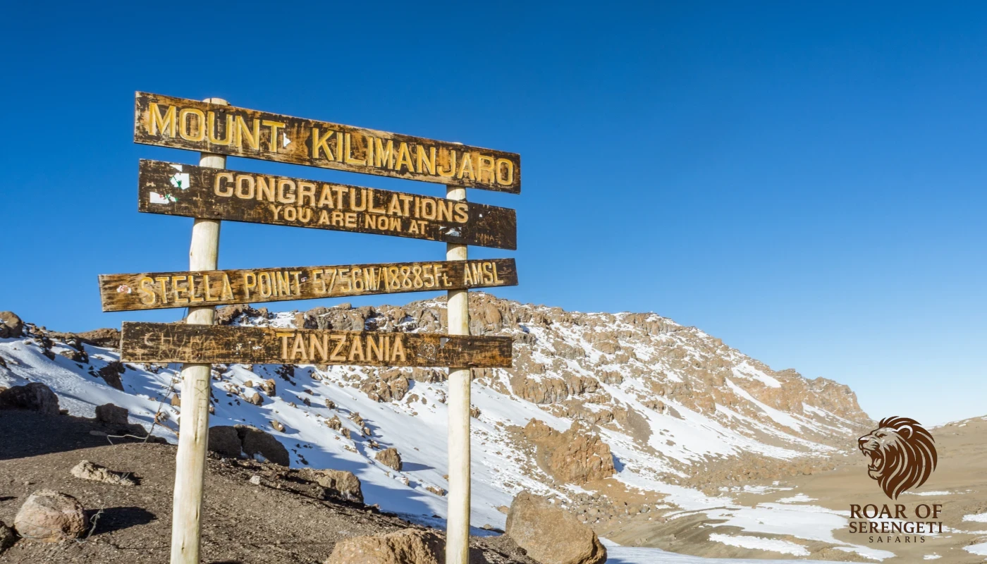 Marangu Route Climb Mount Kilimanjaro