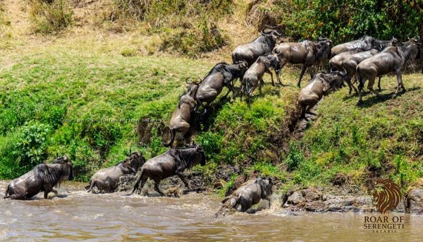 Great River Crossing & Big Five Safari