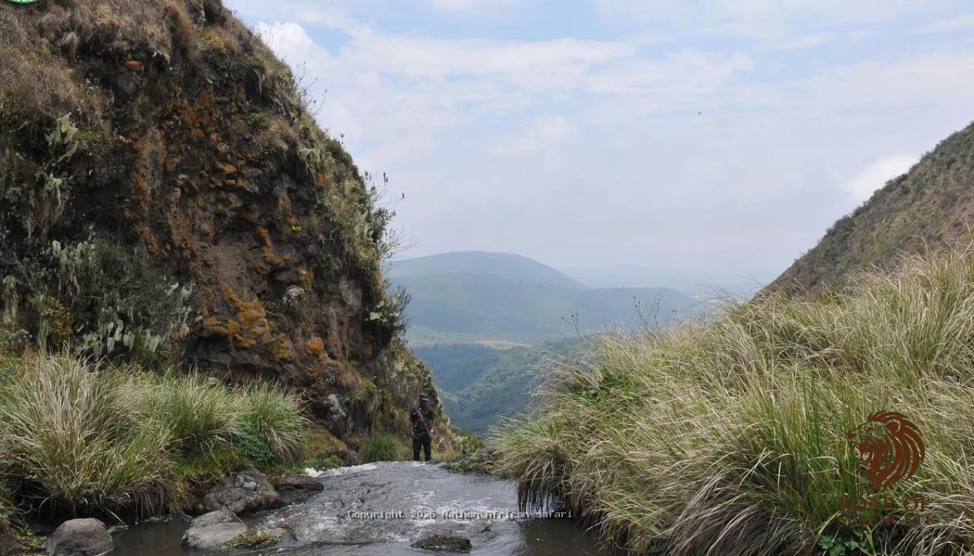 Tarangire, Ngorongoro & Hadzabe Cultural Safari