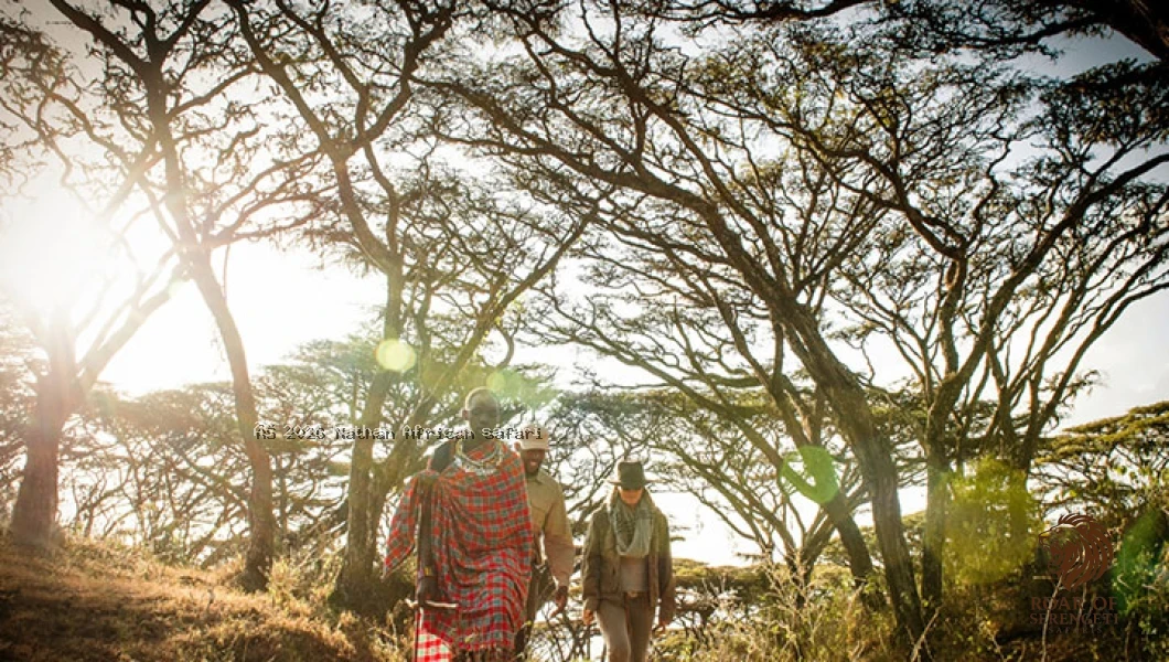 Day 2 image